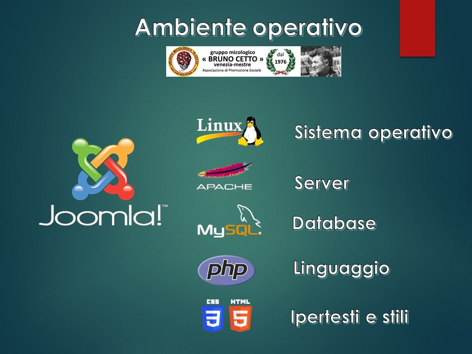 Diapositiva1