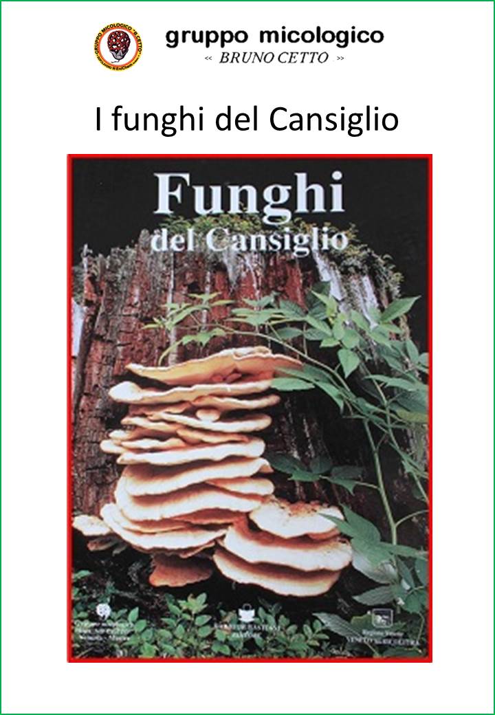 cansiglio