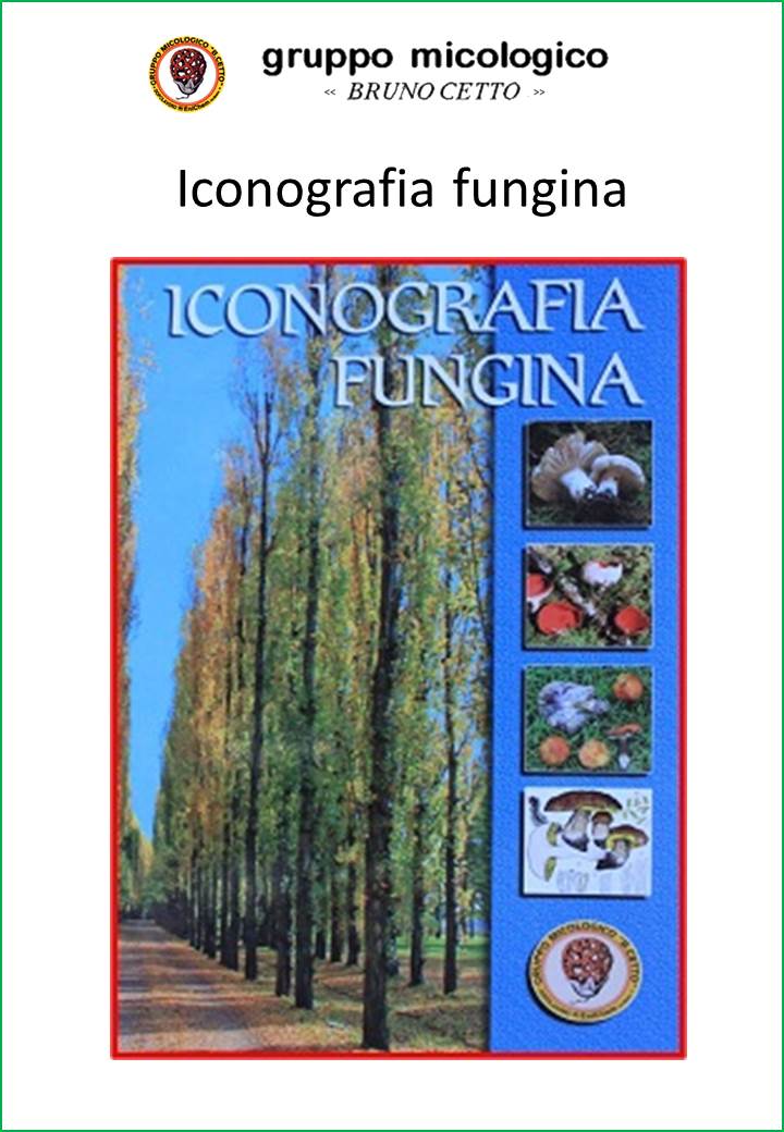 iconografia