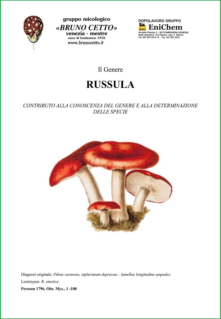 genere russula