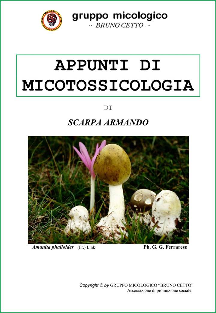 micotossicologia