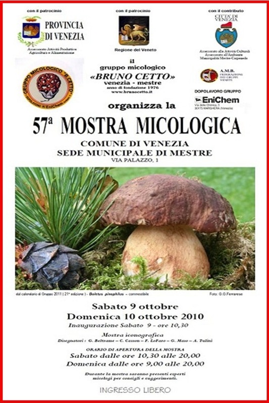 57^ Mostra Micologica