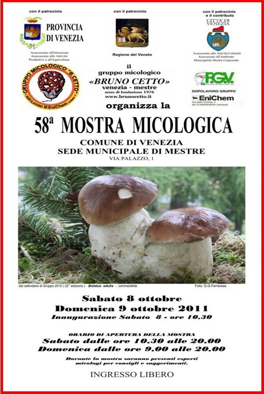 58^ Mostra Micologica