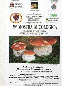mostra 59