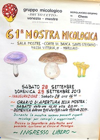 mostra 61