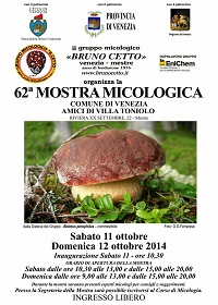 mostra 62