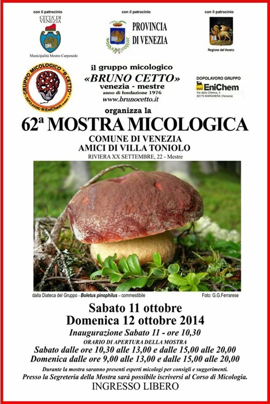 62^ Mostra Micologica