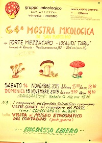 mostra 64
