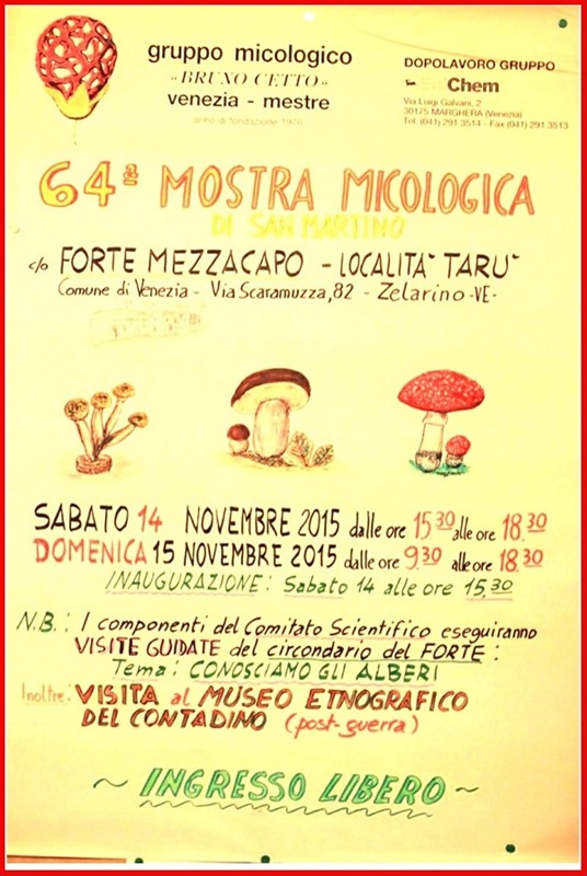 64^ Mostra Micologica