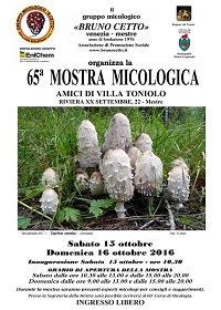 mostra 65