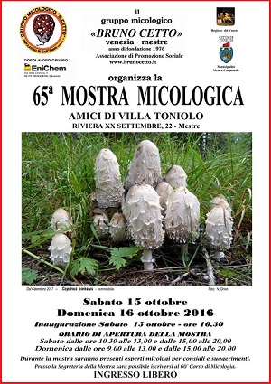 65^ Mostra Micologica