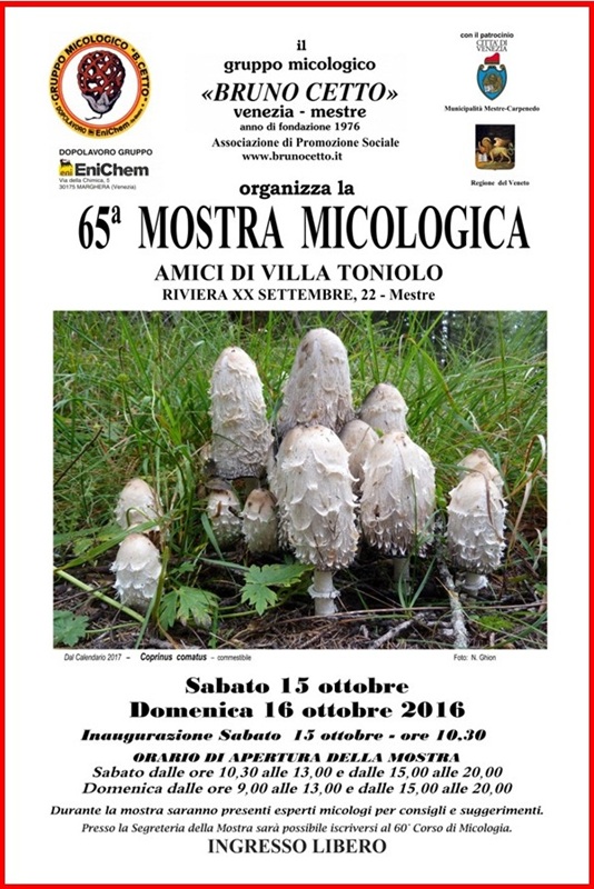 65^ Mostra Micologica