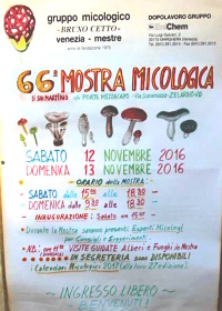 mostra 66
