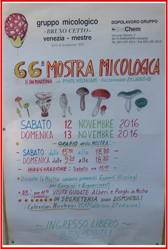 66^ Mostra Micologica