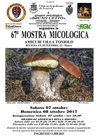 mostra 67