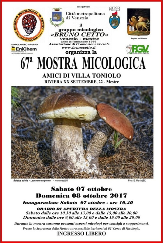 67^ Mostra Micologica