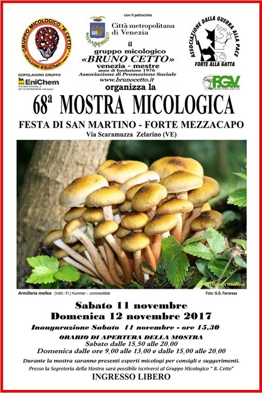 68^ Mostra Micologica