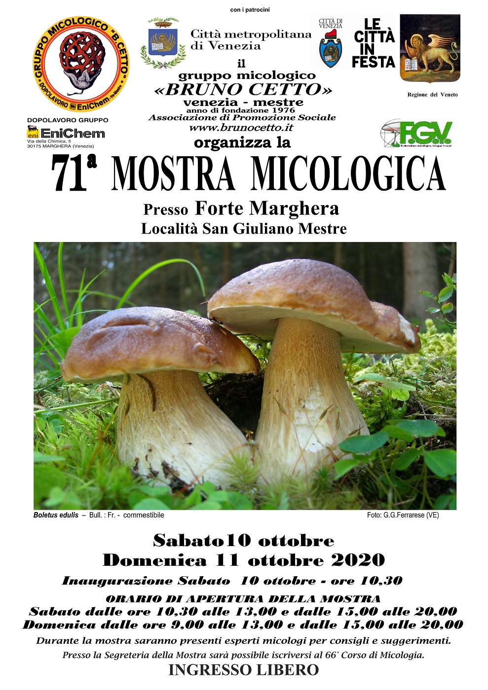 mostra 71