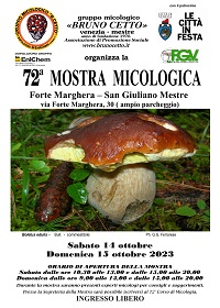 mostra 72