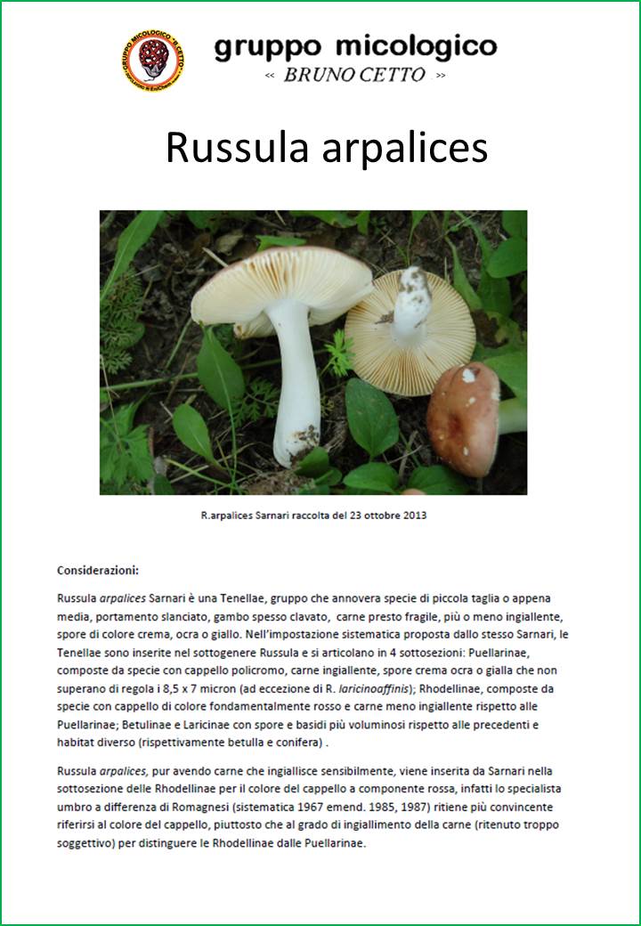 Russula arpalices