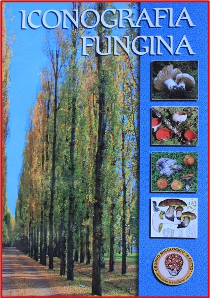 Iconografia fungina