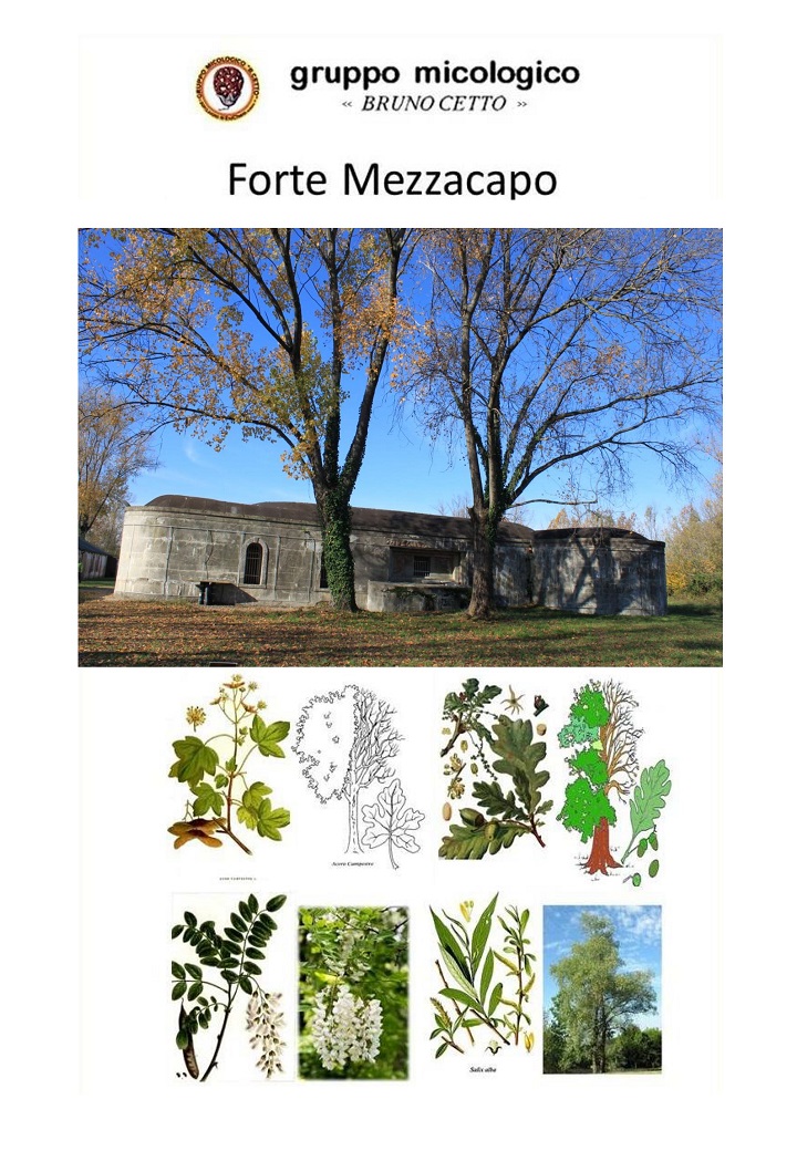 Habitat Forte Mezzacapo
