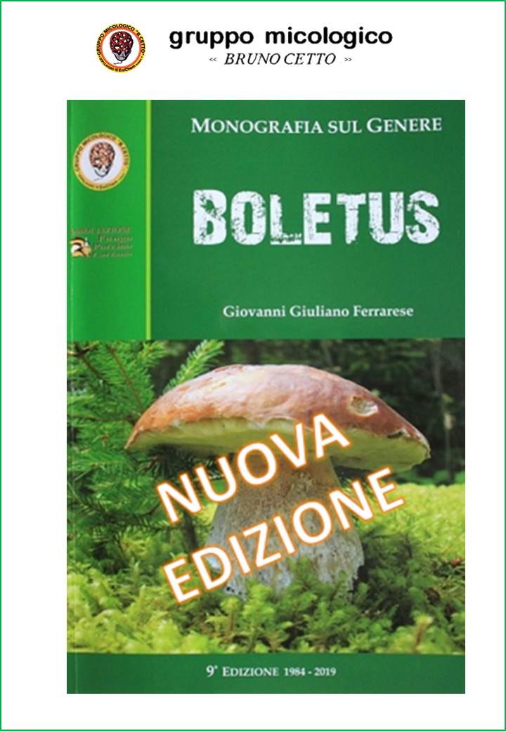 Monografia Boletus