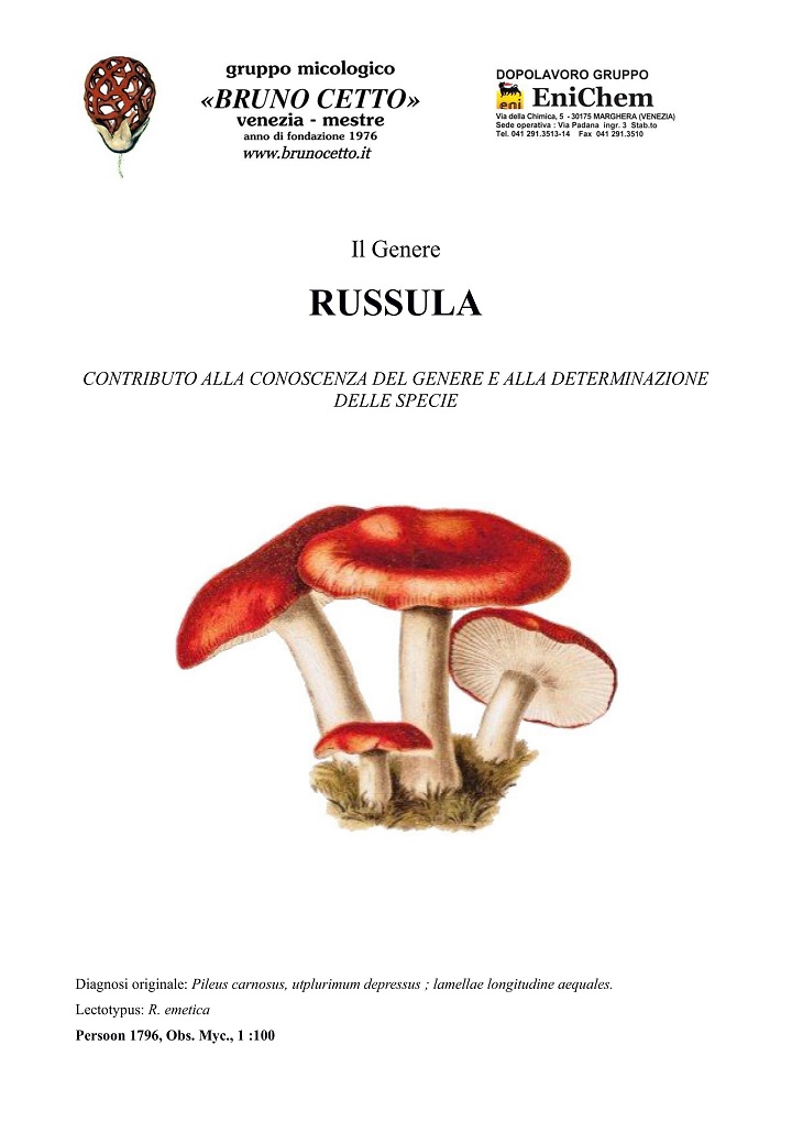 Genere Russula