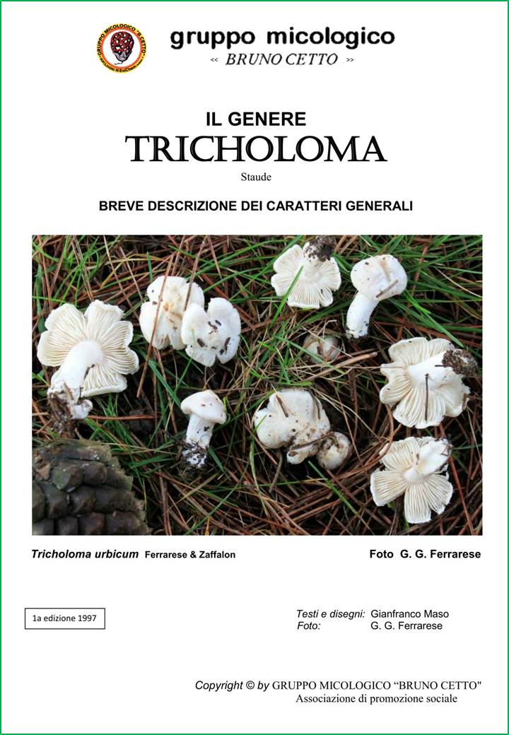 Genere Tricholoma